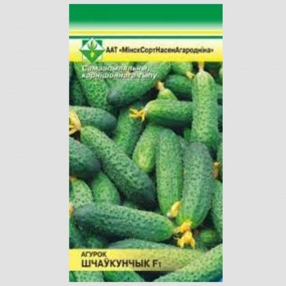 Купить семена огурцов в Минске, почтой по Беларуси, каталог