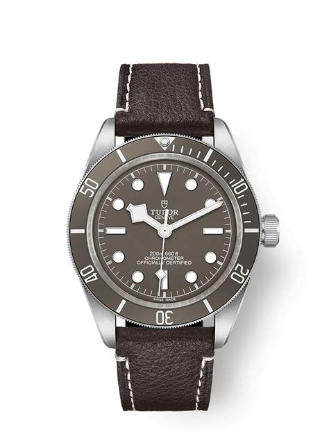 Tudor Sg Black Bay Fifty Eight Watchbase