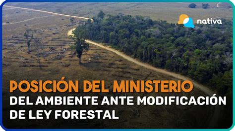 Posici N Del Minam Ante Modificaci N De Ley Forestal Youtube