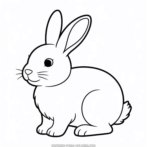 Imagens De Desenhos De Coelho - 9