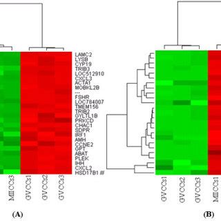 Hierarchical Clustering And Heat Map Of Some Of The Top Differentially