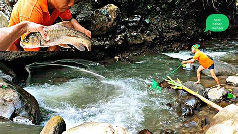 Jala Ikan Di Sungai Arus Deras Memang Mantap Cuy Youtube