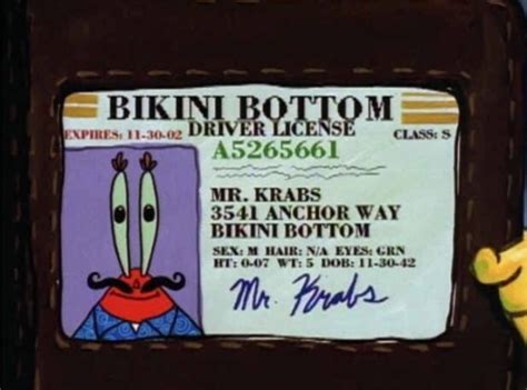Fandom Central Bikini Bottom Licenses