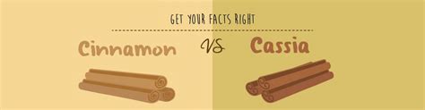 Get Your Facts Right On Cinnamon Vs Cassia [infographic]