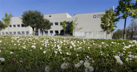 Faculdade de Psicologia e de Ciências da Educação celebra 42 anos ...