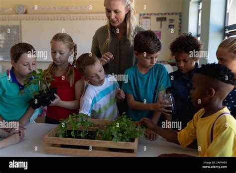 Female Teacher Around A Box Of Plants For A Nature Study Lesson In An