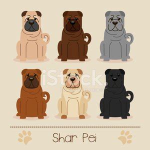 Different Colors Shar Pei Stock Vector | Royalty-Free | FreeImages