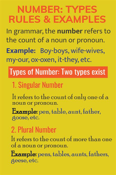 Number Types Rules And Examples Learn English English Grammar Worksheets Verbs Anchor Chart