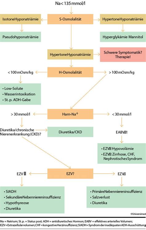 Hyponatri Mie Was Tun In Der Praxis Allgemeinmedizin Universimed