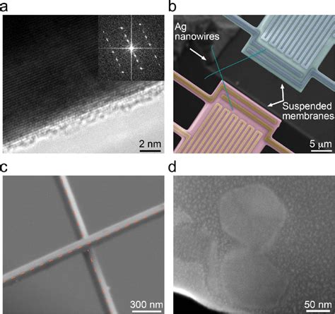 A Hrtem Image Of An Ag Nanowire The Inset Shows The Selected Area