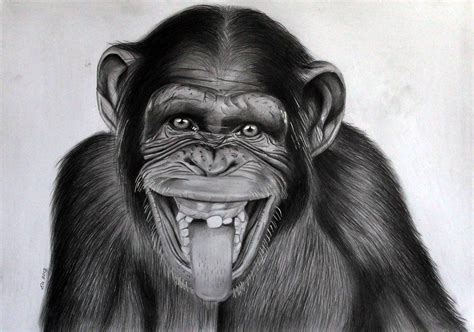 Cheeky Monkey By Donchild On Deviantart Affen Zeichnen Affe Malen