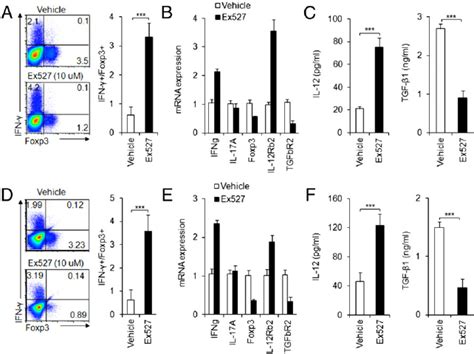 Pharmacologically Targeting Sirt1 In Mouse And Human Dcs As Described Download Scientific