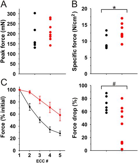 Contractile properties of TAT μUtr treated muscle EDL muscles