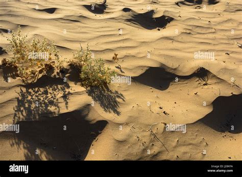 Uzbekistan Nurota Tumani Kizilkum Desert Stock Photo Alamy