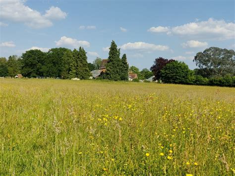 Wildflower Meadow Near Bite Farm Mat Fascione Cc By Sa 2 0