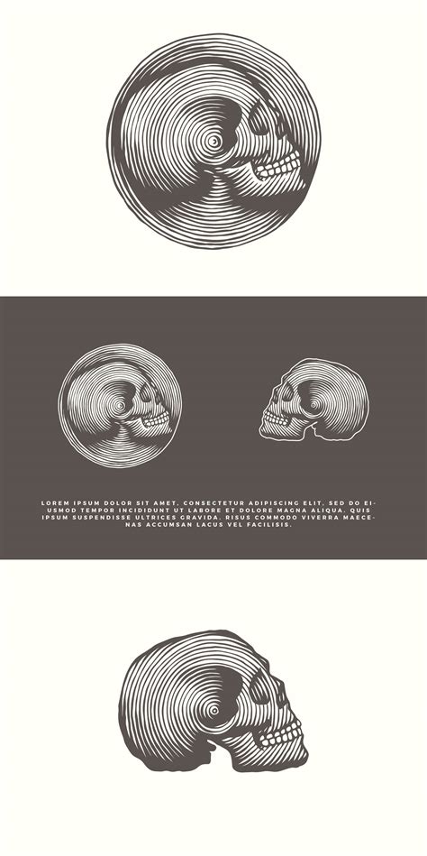 Skull Behance