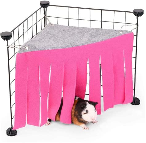 Top 10 Best Guinea Pig Hideouts – Pocket Sized Pets