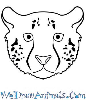 Cheetah Face Drawing