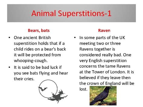 Superstitions In Great Britain Food Superstitions Boiled Egg