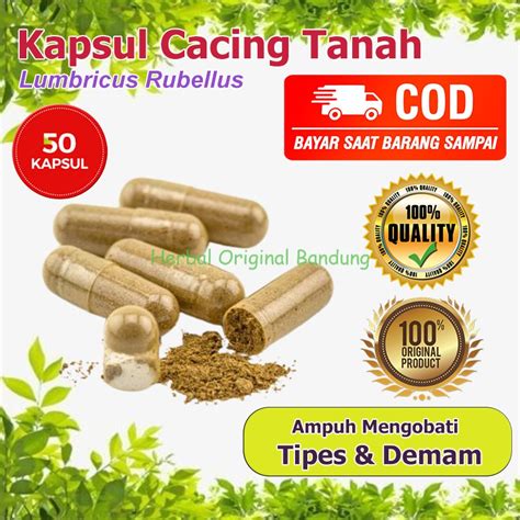 Jual Kapsul Cacing Tanah Kapsul Obat Tipes Radang Usus Demam