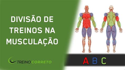 Divisão de Treinos na Musculação Treino Correto 64 YouTube