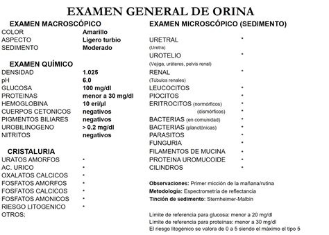 Examen General De Orina Febrero 2018