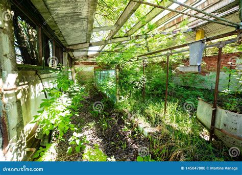 Old Abandoned Farmhouse Interior Stock Photo - Image of outdoors, person: 145047880