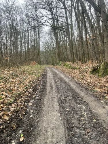 Best Walking Trails In Loire Anjou Touraine Regional Nature Park