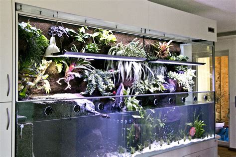 Aqua Terrarium Mit Abtrennung Im Wasser F R Separate Besatzbereiche