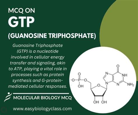 MCQ On GTP Structure And Functions EasyBiologyClass