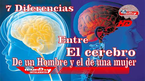 7 Diferencias Entre El Cerebro Del Hombre Y La Mujer YouTube