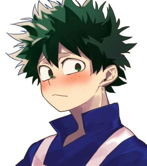 El Pack De Deku My Hero Midoriya Izuku Hero