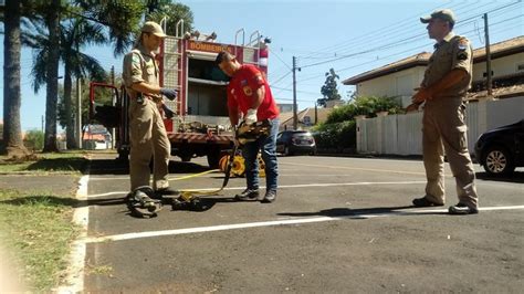 Corpo de Bombeiros de Telêmaco Borba recebe visita especial CORPO DE