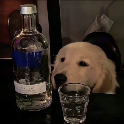 娃哈哈哈哈哈哈丨个人主页_杭州三维设计师-站酷ZCOOL