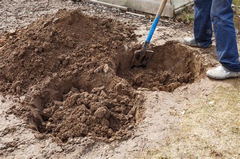 Premium Photo | Man digging a hole for planting a fruit tree in the garden