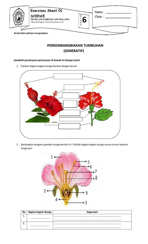 Detail Contoh Perkembangbiakan Generatif Pada Tumbuhan Koleksi Nomer