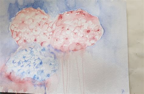 Aquarellkurs Thema Hortensien Atelier Malschule Mesch Osnabr Ck