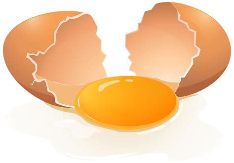 Egg Transparent Background