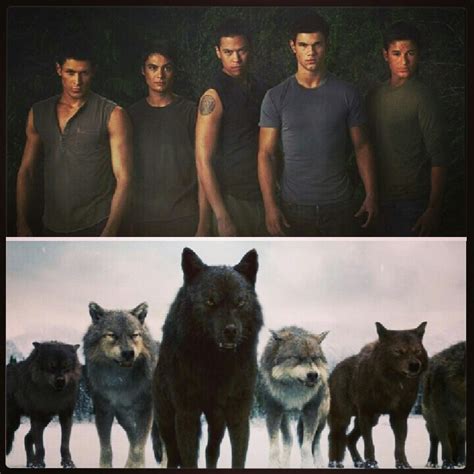 124 Best Images About Twilights Wolf Pack On Pinterest Twilight Saga