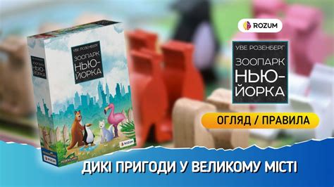 Зоопарк Нью-Йорка / New York Zoo / Огляд та відеоправила - YouTube