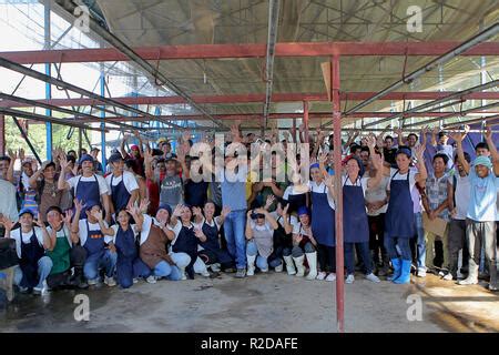 Davao Philippines 30th Oct 2018 Workers Prepare To Put Bananas In