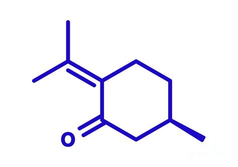 Pulegone Molecule Photograph By Molekuul Science Photo Library Pixels