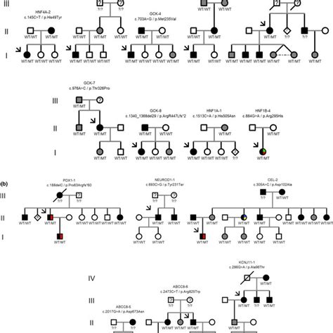 Pedigrees Of Screened MODY Families With Pathogenic Likely