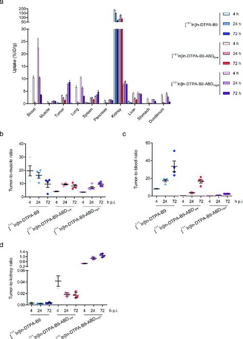 A Biodistribution Analysis Of 111 In In DTPA B9 And 111