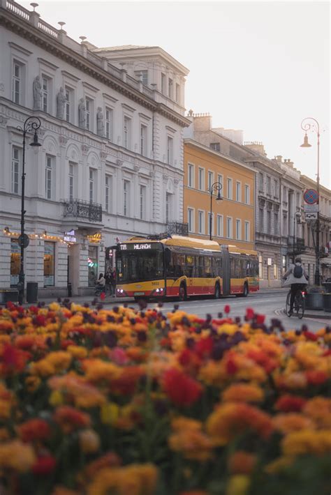 Kwiaty Plakat Premium X Cm Aaaloe Inna Marka Sklep Empik