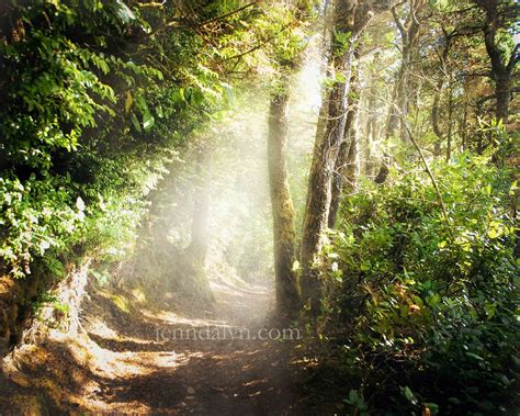 Create More Light Oregons Hobbit Trail A Real Enchanted Forest