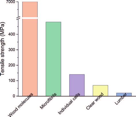 Tensile Strength Of Wood At Various Levels Download Scientific Diagram