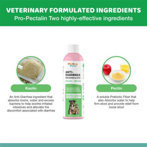 Anti Diarrhea For Dogs And Cats Medication With Pectin And Kaolin 8 Oz