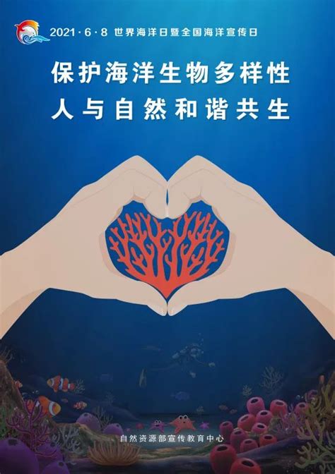 世界海洋日 海报·发现海洋之美 保护海洋生物多样性澎湃号·政务澎湃新闻 The Paper