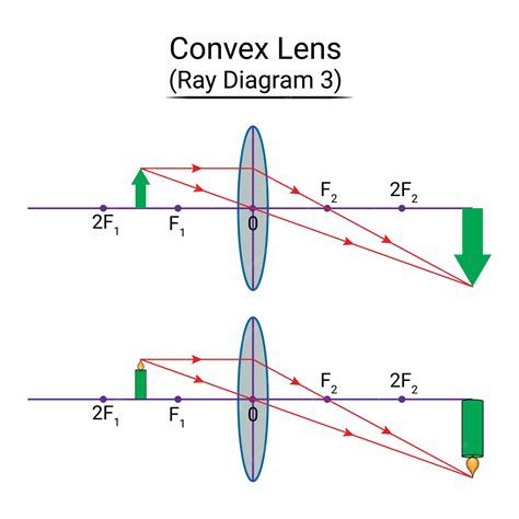 Concave And Convex Lenses Ray Diagrams
